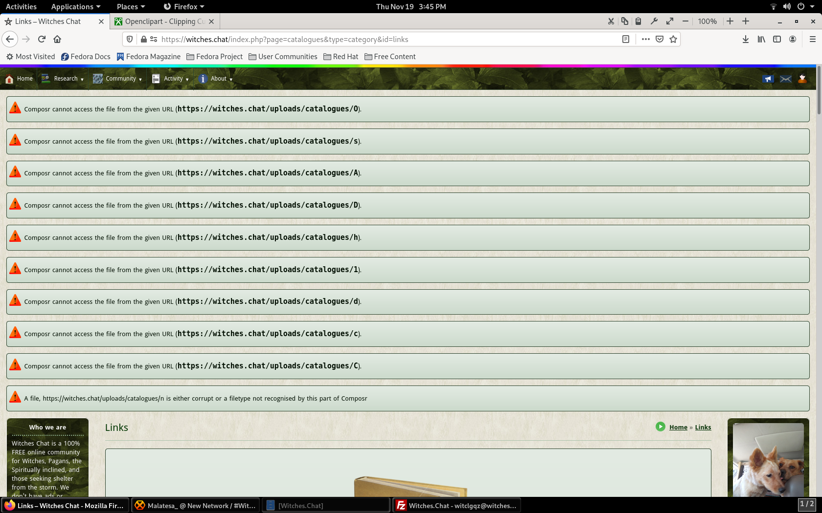 Screenshot from 2020-11-19 15-45-55.png