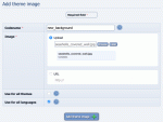 The add theme image form