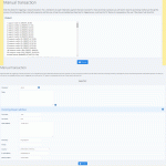 Inputting a manual transaction